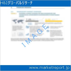 市場と産業調査レポートのイメージ
